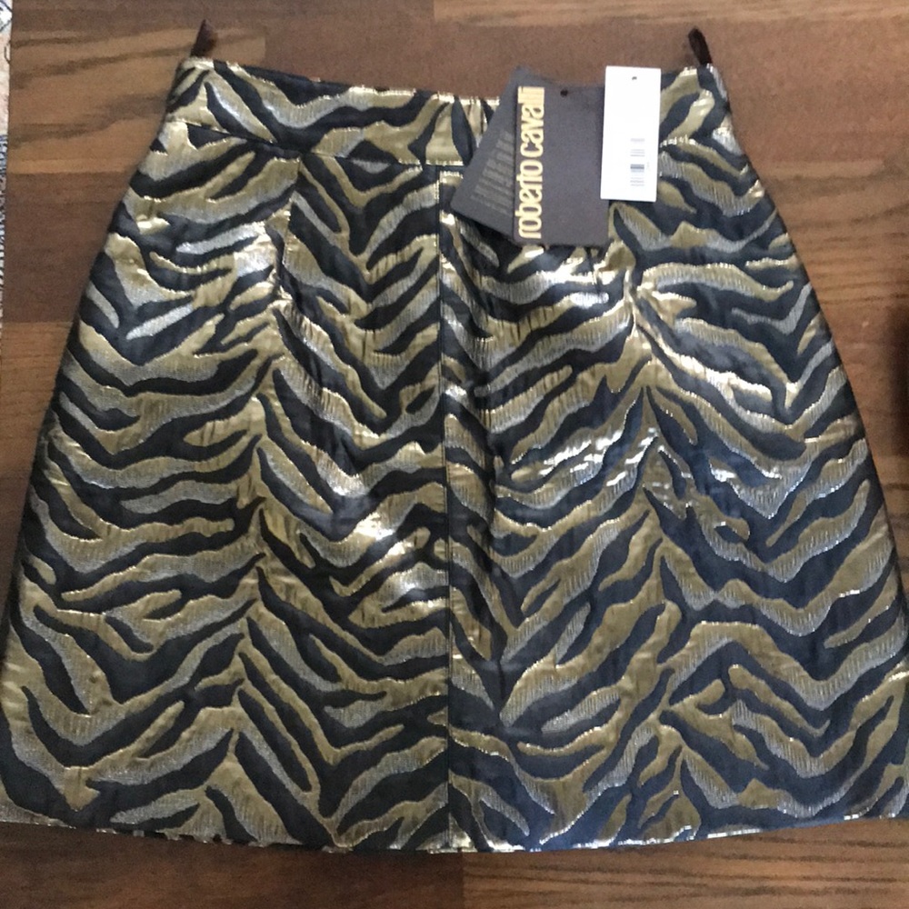 Roberto cavalli skirt
